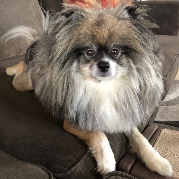 Welcome to my closet! - Picture 13 of 14